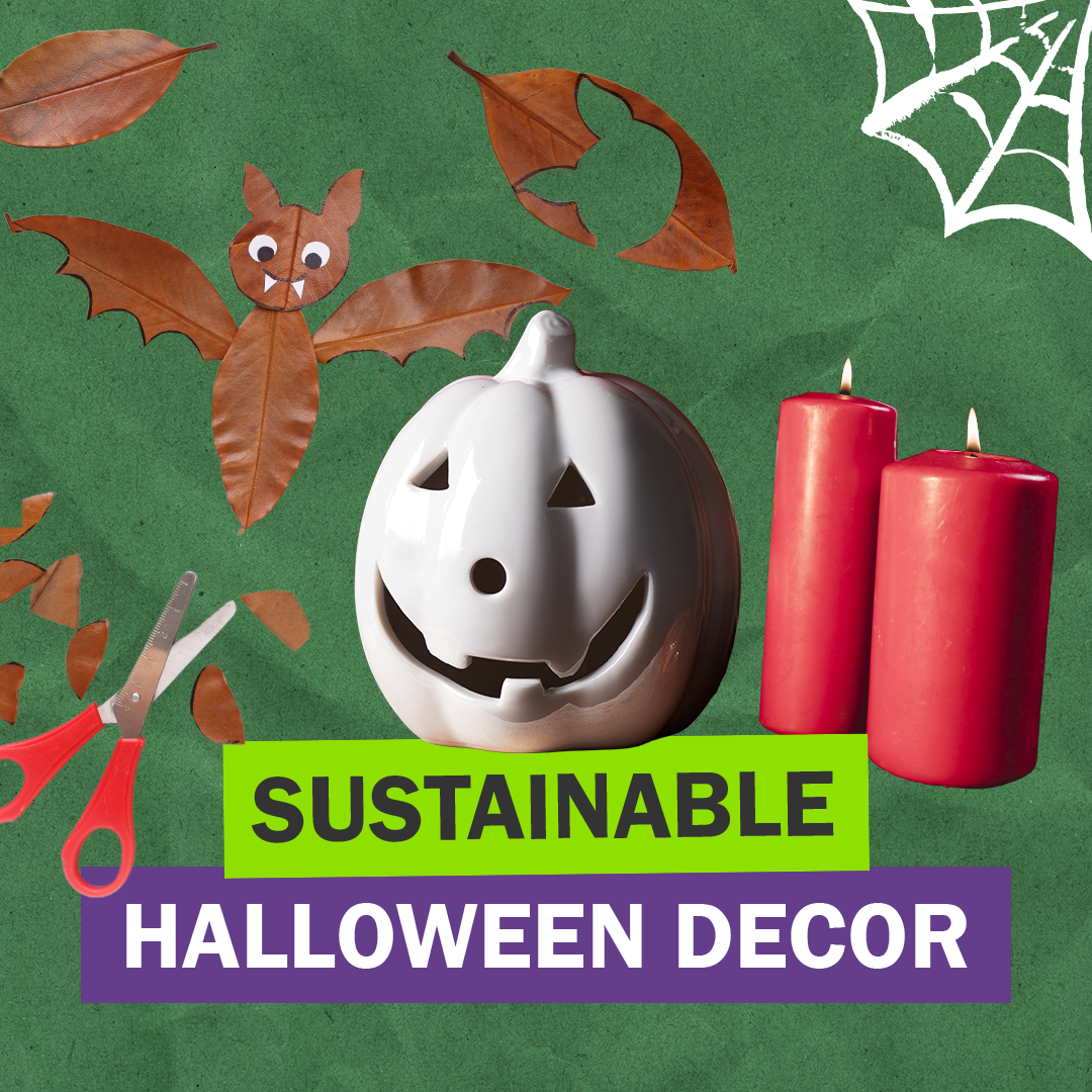 "SUSTAINABLE HALLOWEEN DECOR" Cutout images of a white jack-o-lantern, red candles, scissors, and DIY halloween bats. The background is green crumpled paper.