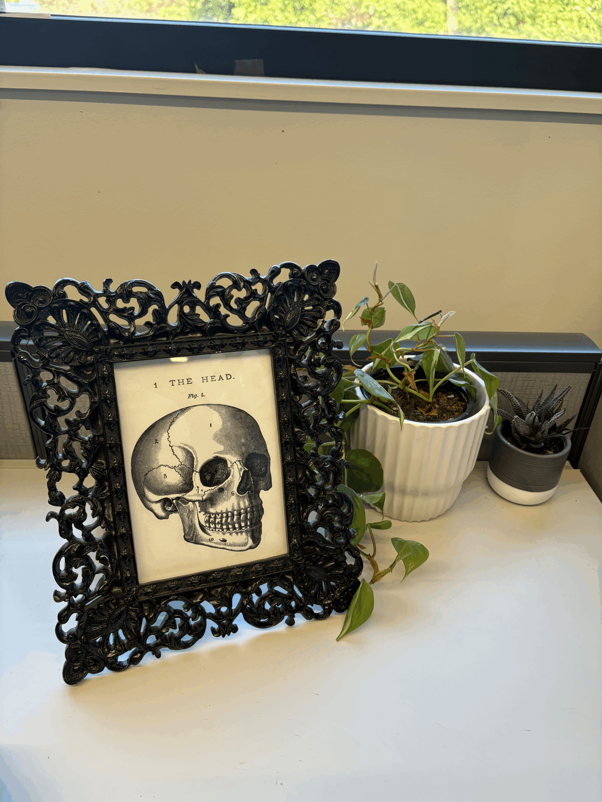 Skull art inside of a black floral frame. The frame is standing beside two potted plants. All items are on a desk by the window sill.